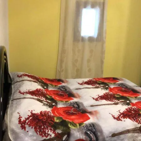 Apio In Apartment *